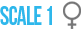 Scale 1