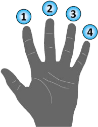 Finger Placement Diagram